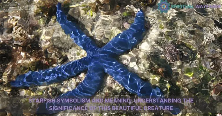 starfish symbolism and meaning