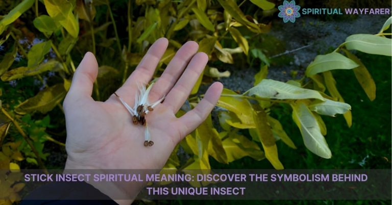 stick insect spiritual meaning