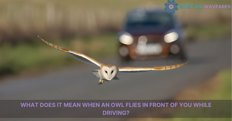 what does it mean when an owl flies in front of you while driving