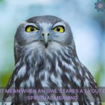 what does it mean when an owl stares at you spiritual meaning