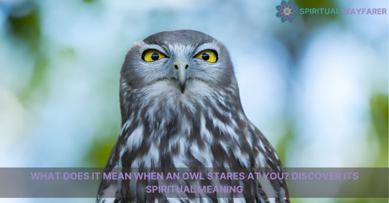 what does it mean when an owl stares at you spiritual meaning