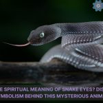 what is the spiritual meaning of snake eyes