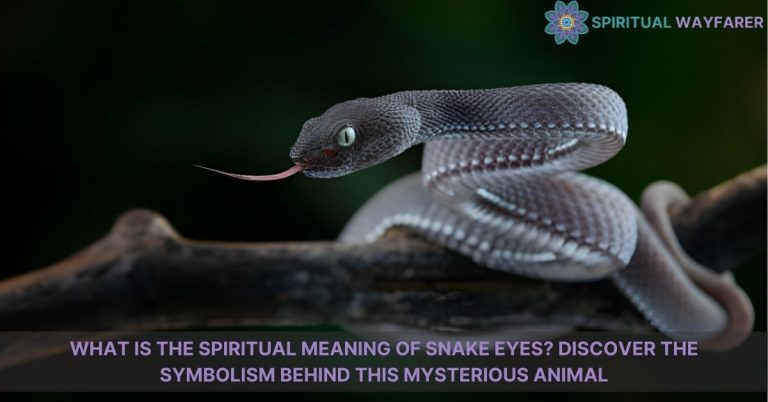 what is the spiritual meaning of snake eyes