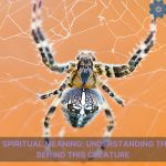 white spider spiritual meaning