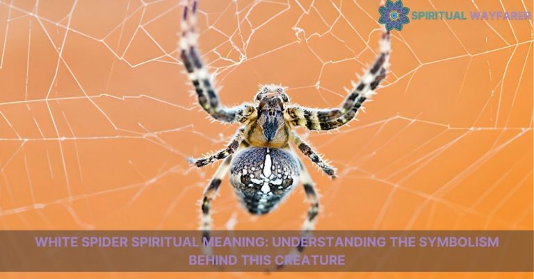 white spider spiritual meaning