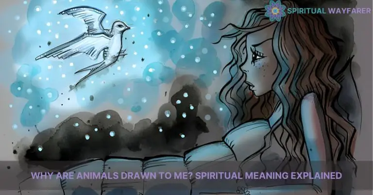 why are animals drawn to me spiritual meaning