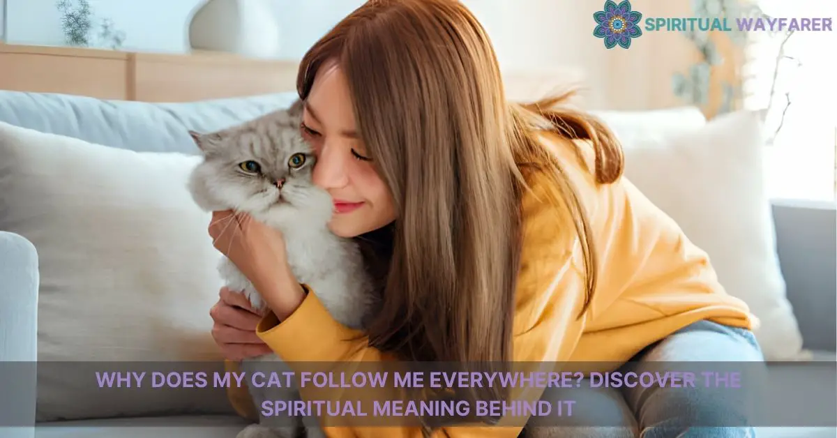 why does my cat follow me everywhere spiritual meaning