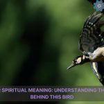 woodpecker spiritual meaning