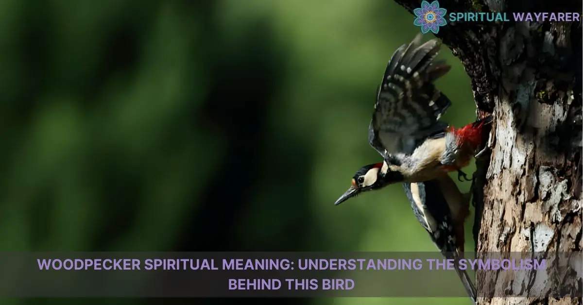 woodpecker spiritual meaning