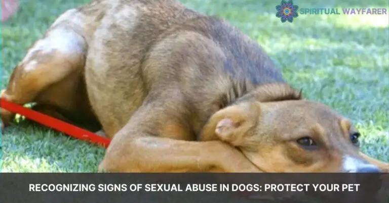 signs of a dog being sexually abused