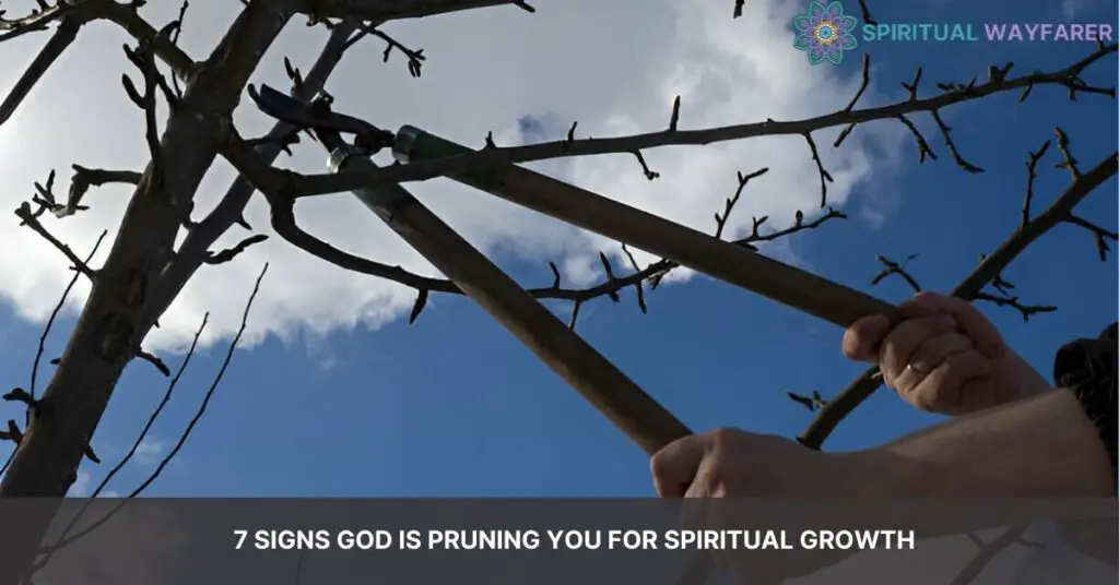 7 Signs God is Pruning You for Spiritual Growth