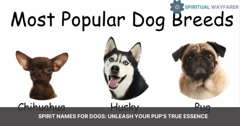 spirit names for dogs