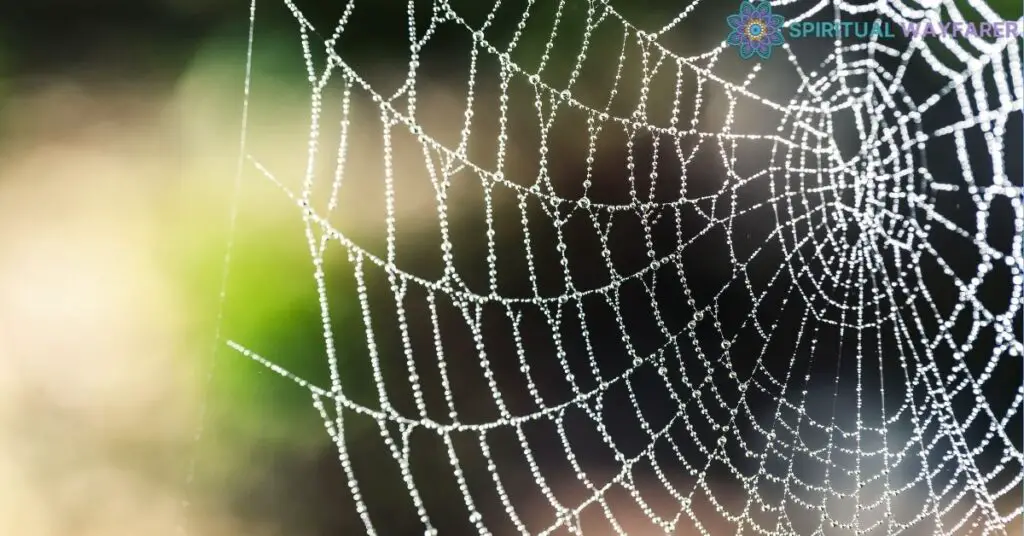 Analyzing the Symbolisms of Spider Webs