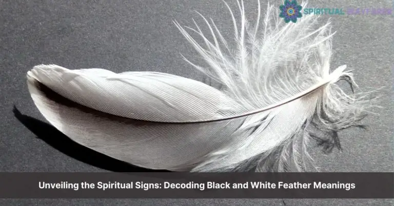 Black and White Feather Meaning