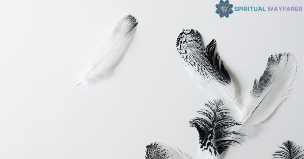 Black and White Feather Meaning in Dreams