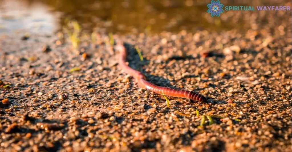 Broader Significance of Worms in Spirituality