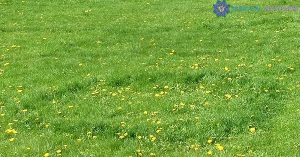 Connecting with Nature Fairy Rings as Omens