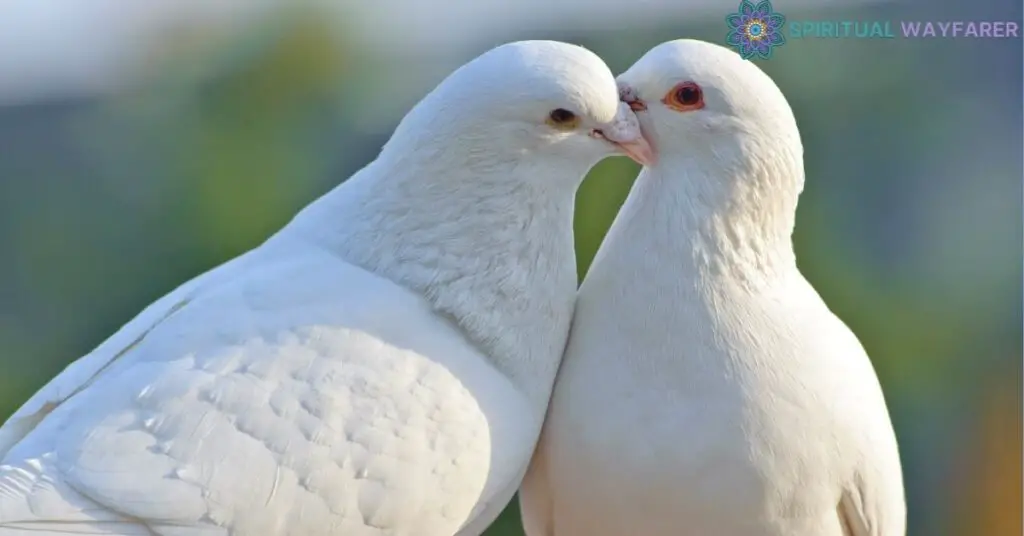 Delving into the Meaning of Two Doves