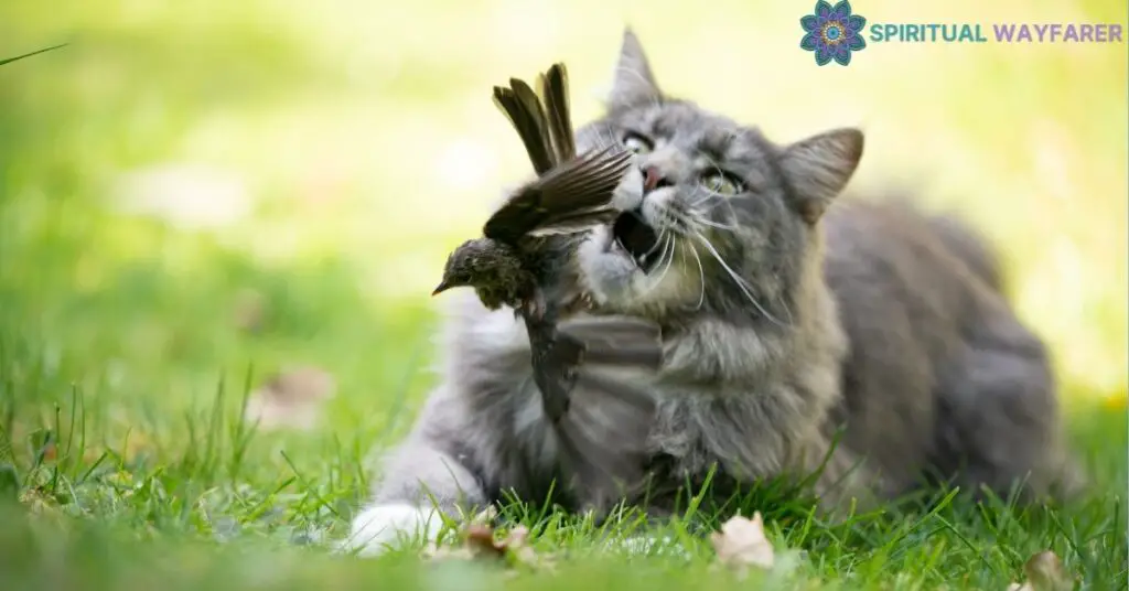 Delving into the Spiritual Meaning of Cat Bringing Bird