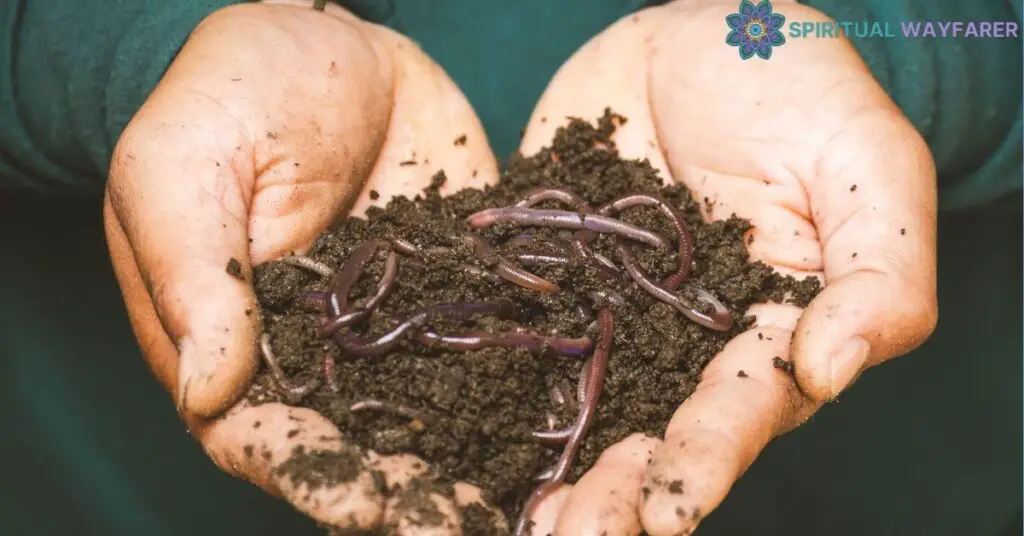 Exploring the Spiritual Significance of Worms in House