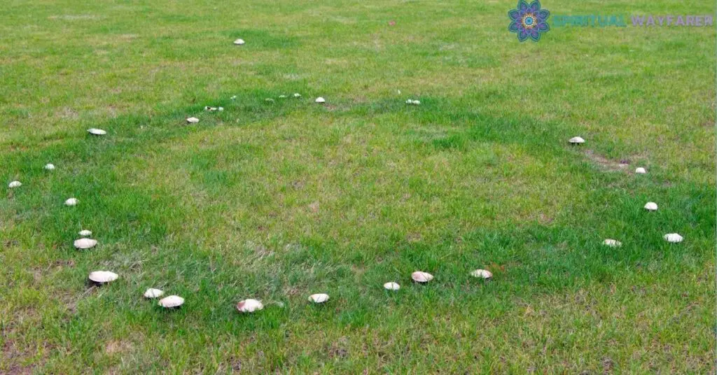 Fairy Rings in Grass Spiritual Meaning