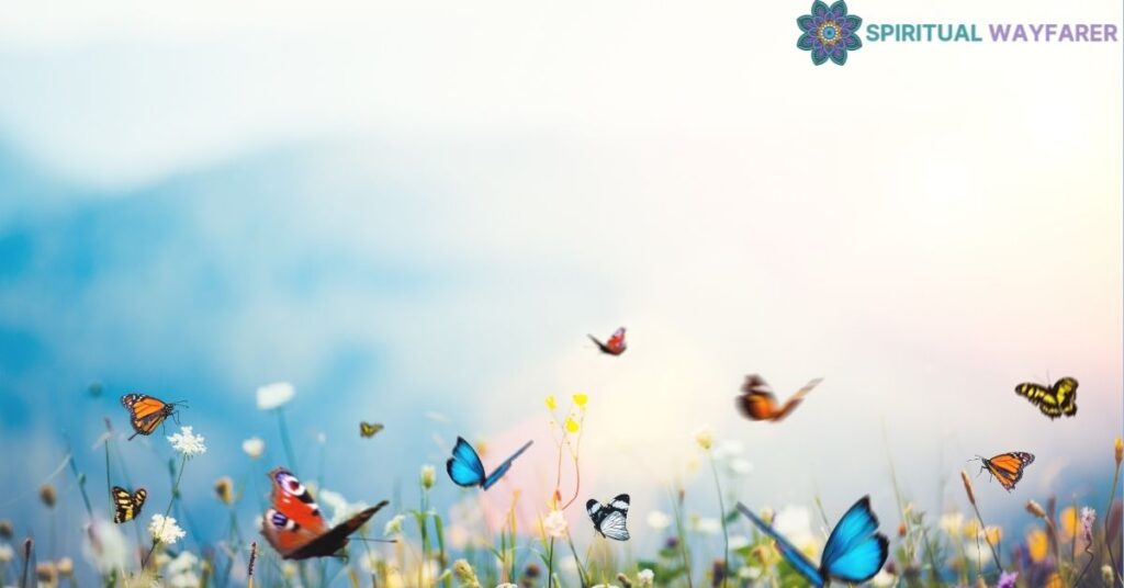 Harnessing Butterfly Energy in Daily Life