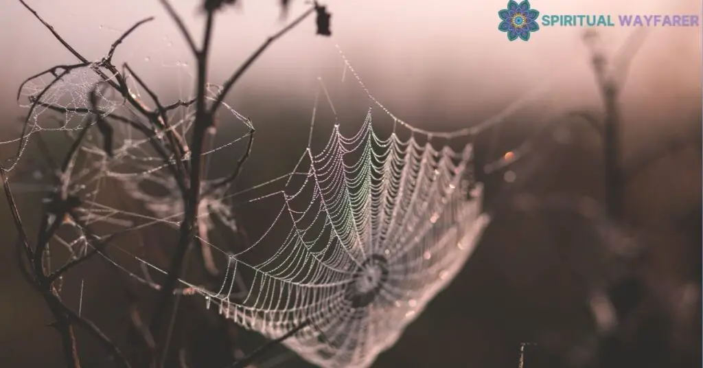 Impact of Walking into a Spider Web on Conscious and Subconscious Mind