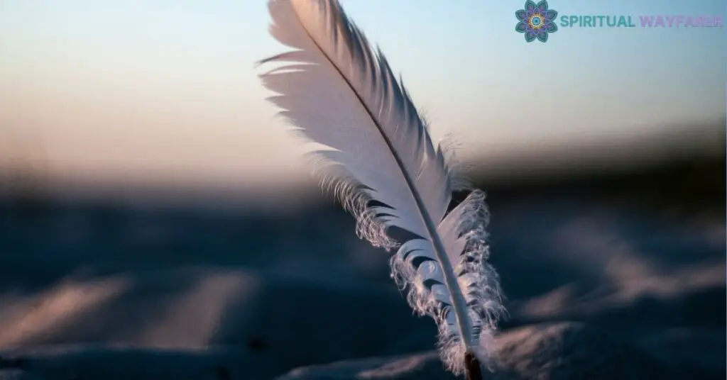 Interpreting the Message Behind the Feather