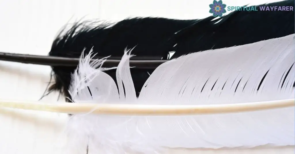 Personal Stories about Black and White Feathers