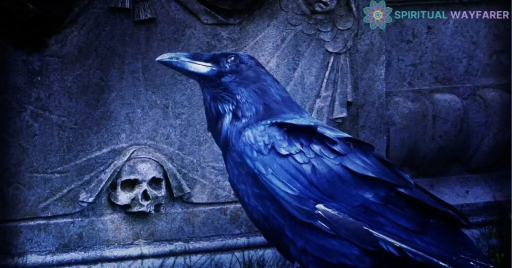 Symbolic Meanings Attached to Ravens