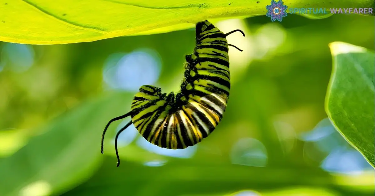 Unveiling the Spiritual Transformation The Profound Meaning of