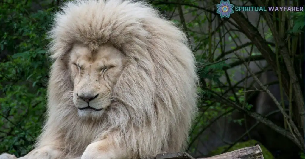 The Role of White Lions in Wildlife and Conservation