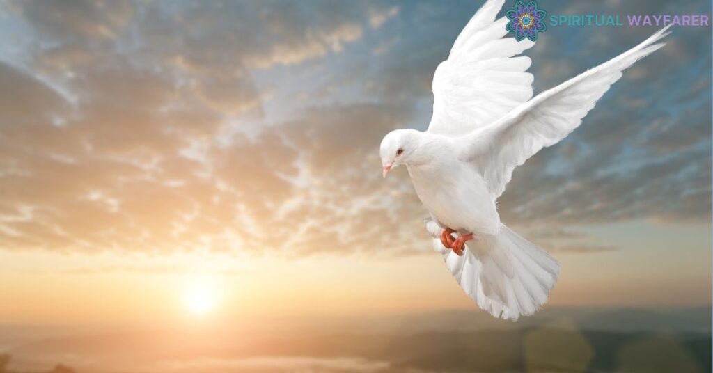 The Spiritual Significance of White Pigeons