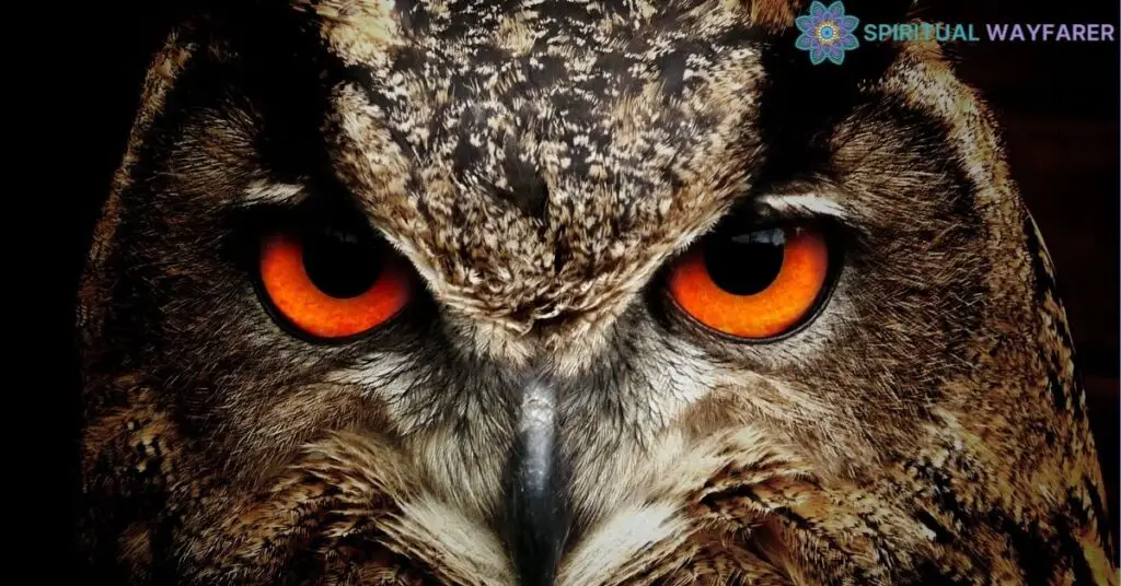 The Symbolism of Owls in Different Cultures