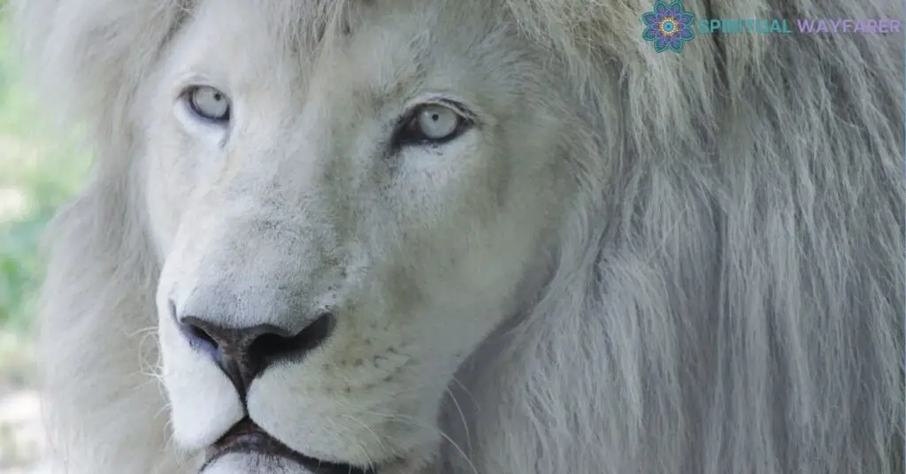 The Symbolism of White Lions in Different Cultures