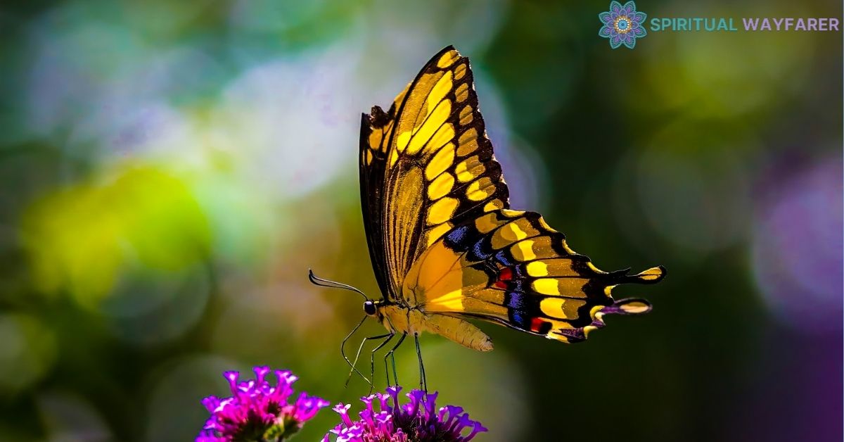 Unraveling the Symbolism The Stunning Meanings Behind Yellow and Black