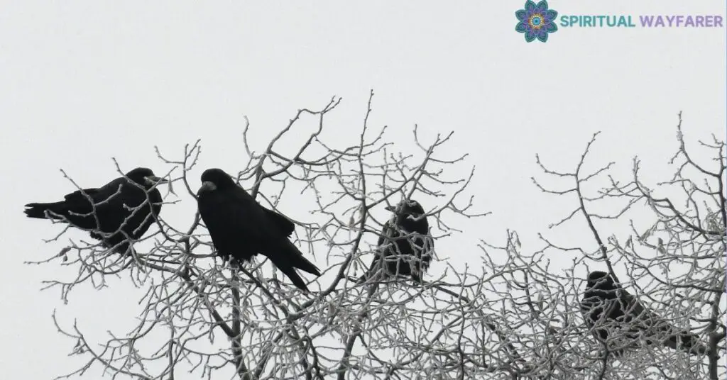 Understanding Crow Symbolism The Meaning of Seeing 4 Crows