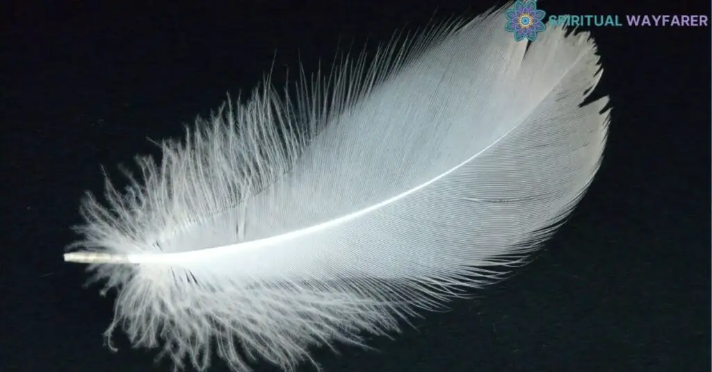 Understanding Feather Symbolism