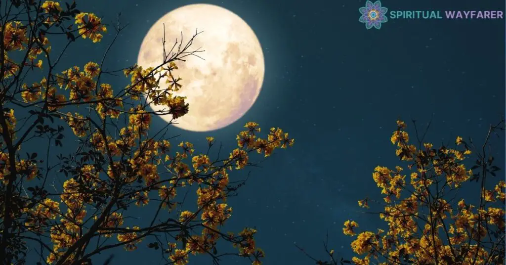 Understanding the Full Moon of June 2024