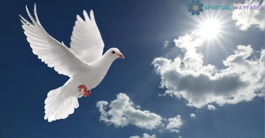 Understanding the Symbolism of Doves