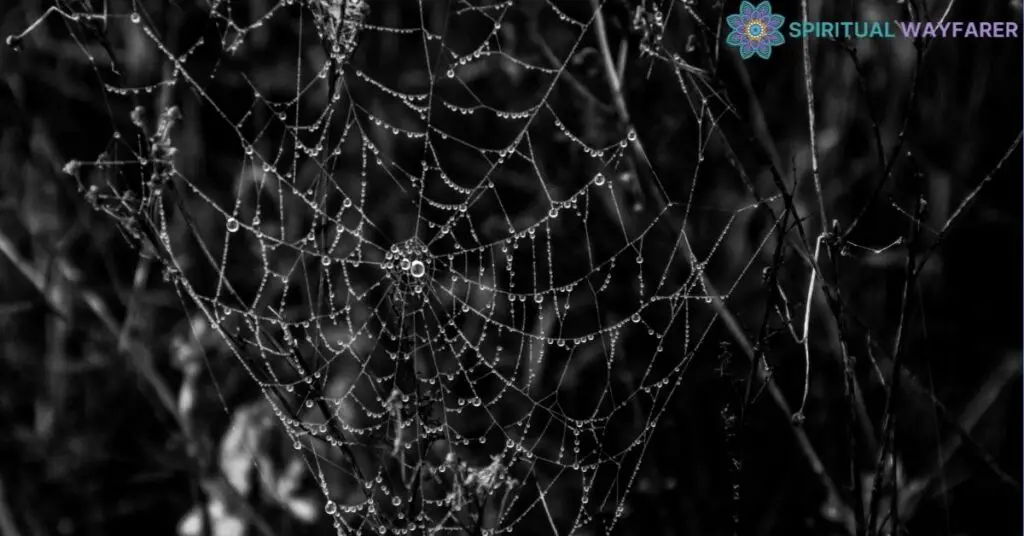 Unearthing the Interpretations of Walking into a Spider Web