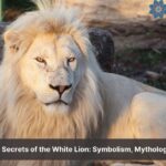 White Lion meaning