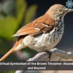 brown thrasher spiritual meaning