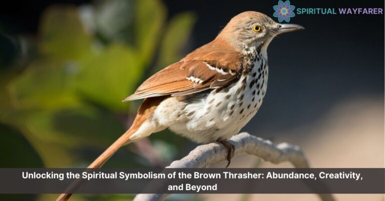 brown thrasher spiritual meaning