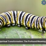 caterpillar spiritual meaning