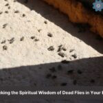 dead flies in house spiritual meaning