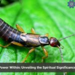 earwig spiritual meaning