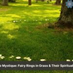 fairy rings in grass spiritual meaning