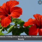 hibiscus flower meaning