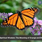 orange and black butterfly spiritual meaning